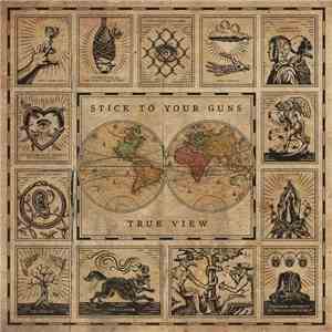 Stick To Your Guns - True View FLAC