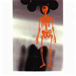 Unfortune Teller - Untunes FLAC