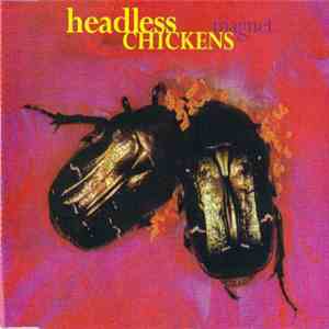 Headless Chickens - Magnet FLAC