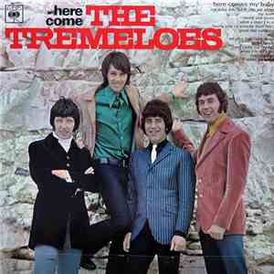 The Tremeloes - Here Come The Tremeloes FLAC