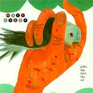 Matt Suggs - Golden Days Before They End FLAC