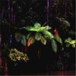 Menstruation Sisters - Puppet Island FLAC