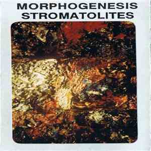 Morphogenesis - Stromatolites FLAC