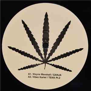 Wayne Marshall, Vybz Kartel, Machel Montano, Grand - Ganja / Tekk Pt.2 FLAC