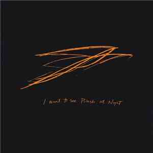 Andrew Bird - I Want To See Pulaski At Night FLAC