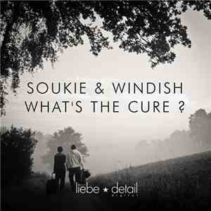Soukie & Windish - What's The Cure? FLAC