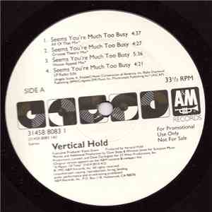 Vertical Hold - Seems You're Much Too Busy FLAC
