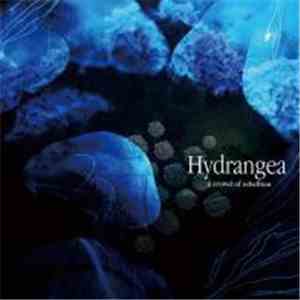 A Crowd Of Rebellion - Hydrangea FLAC