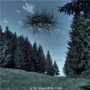 Basarabian Hills - In The Stillness Of The Codrii FLAC