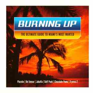 Various - Burning Up - The Ultimate Guide To Miami's Most Wanted FLAC
