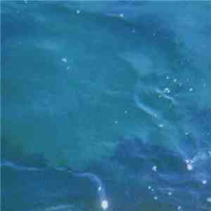 Fluorescent Heights - Tourism FLAC