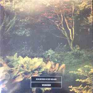 14 Iced Bears - Wonder FLAC