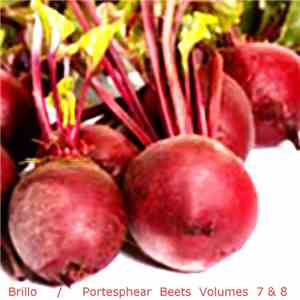 Brillo  - Portesphear Beets Volumes 7 & 8 FLAC