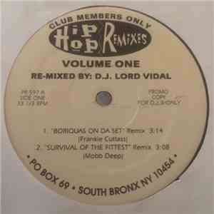 Various - Hip-Hop Remixes Volume One FLAC