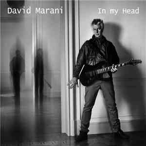 David Marani - In my Head FLAC