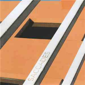 Saccades  - Distant Sea FLAC