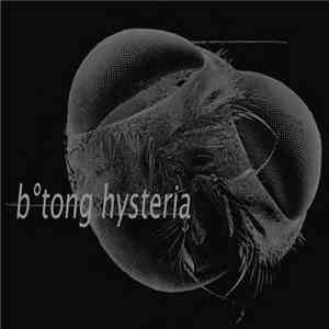 b°tong - Hysteria FLAC