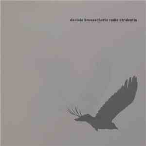 Daniele Brusaschetto - Radio Stridentia FLAC