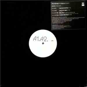 Friendsheap - Shady Lady (Remixes) FLAC