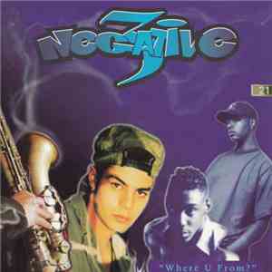 Negative 3 - Where U From? FLAC