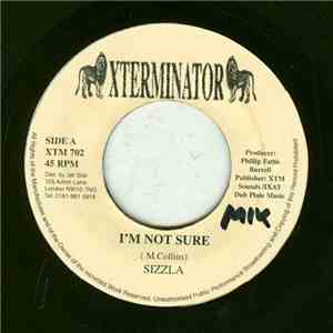 Sizzla - I'm Not Sure FLAC