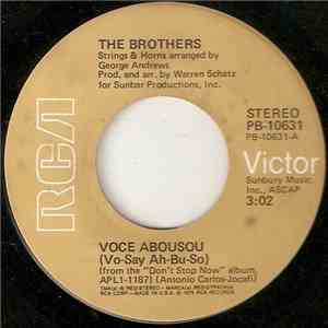 The Brothers - Voce Abusou (Vo-Say Ah-Bu-So) FLAC