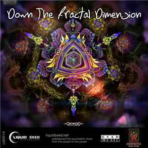 Various - Down The Fractal Dimension FLAC