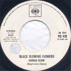Black Blowing Flowers - Human Glow / Üsküdarra FLAC