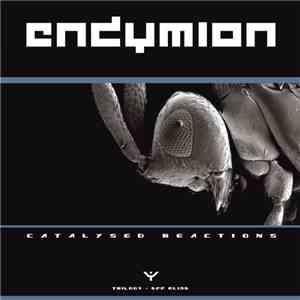 Endymion - Catalysed Reactions Part 1 FLAC