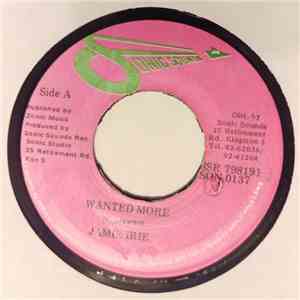 Jamie Irie - Wanted More FLAC