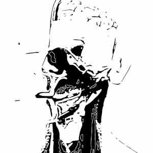 Stridulum - Lead Teeth FLAC