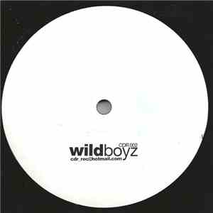 Duran Duran - Wildboyz FLAC