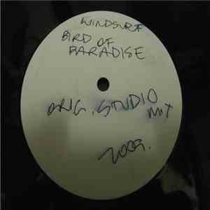 Windsurf - Bird Of Paradise FLAC