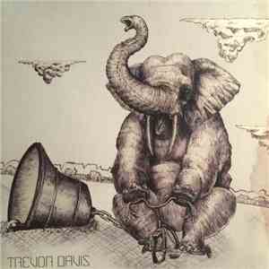 Trevor Davis  - Nothing Ringing True FLAC