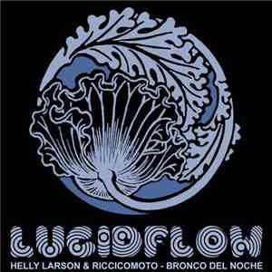 Helly Larson & Riccicomoto - Bronco Del Noche FLAC