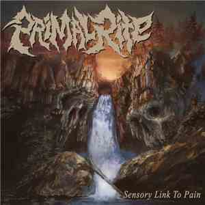 Primal Rite - Sensory Link To Pain FLAC
