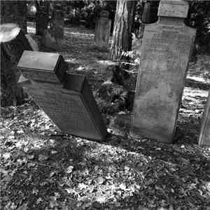The Rorschach Garden - Funeral Party FLAC