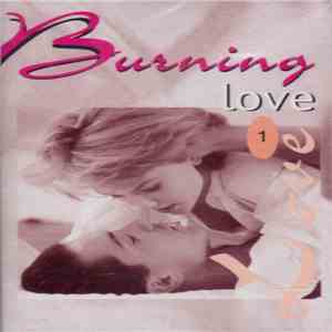 Various - Burning Love - 1 FLAC