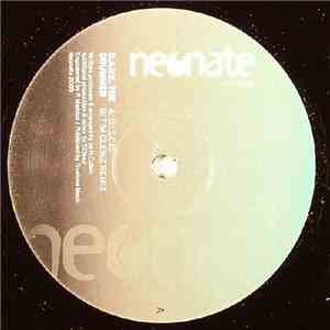 D.A.V.E. The Drummer - D.I.S.C.O. FLAC