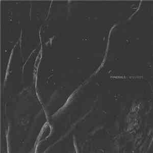 FVNERALS - Wounds FLAC