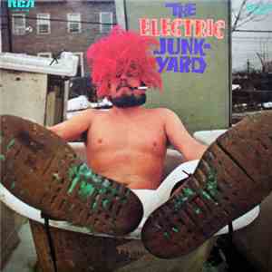 The Electric Junkyard - The Electric Junkyard FLAC