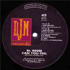 Dr. House - Can You Feel FLAC