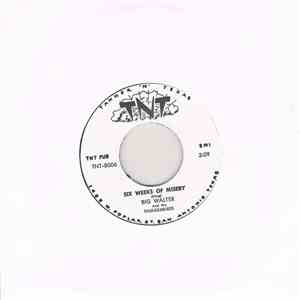 Big Walter And His Thunderbirds - Six Weeks Of Misery FLAC