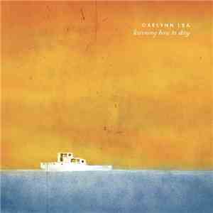 Gaelynn Lea - Learning How To Stay FLAC