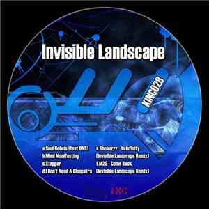 Invisible Landscape - Soul Rebels FLAC