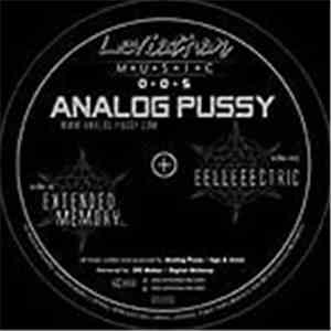 Analog Pussy - Extendet Memorys / Eelleeectric FLAC
