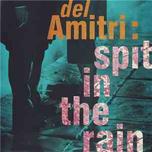 Del Amitri - Spit In The Rain FLAC