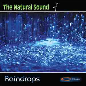 Unknown Artist - The Natural Sound Of Raindrops FLAC