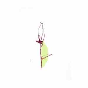 The Humble Bee - Deathless Songs FLAC