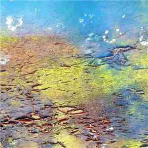 Various - Eye For Detail FLAC